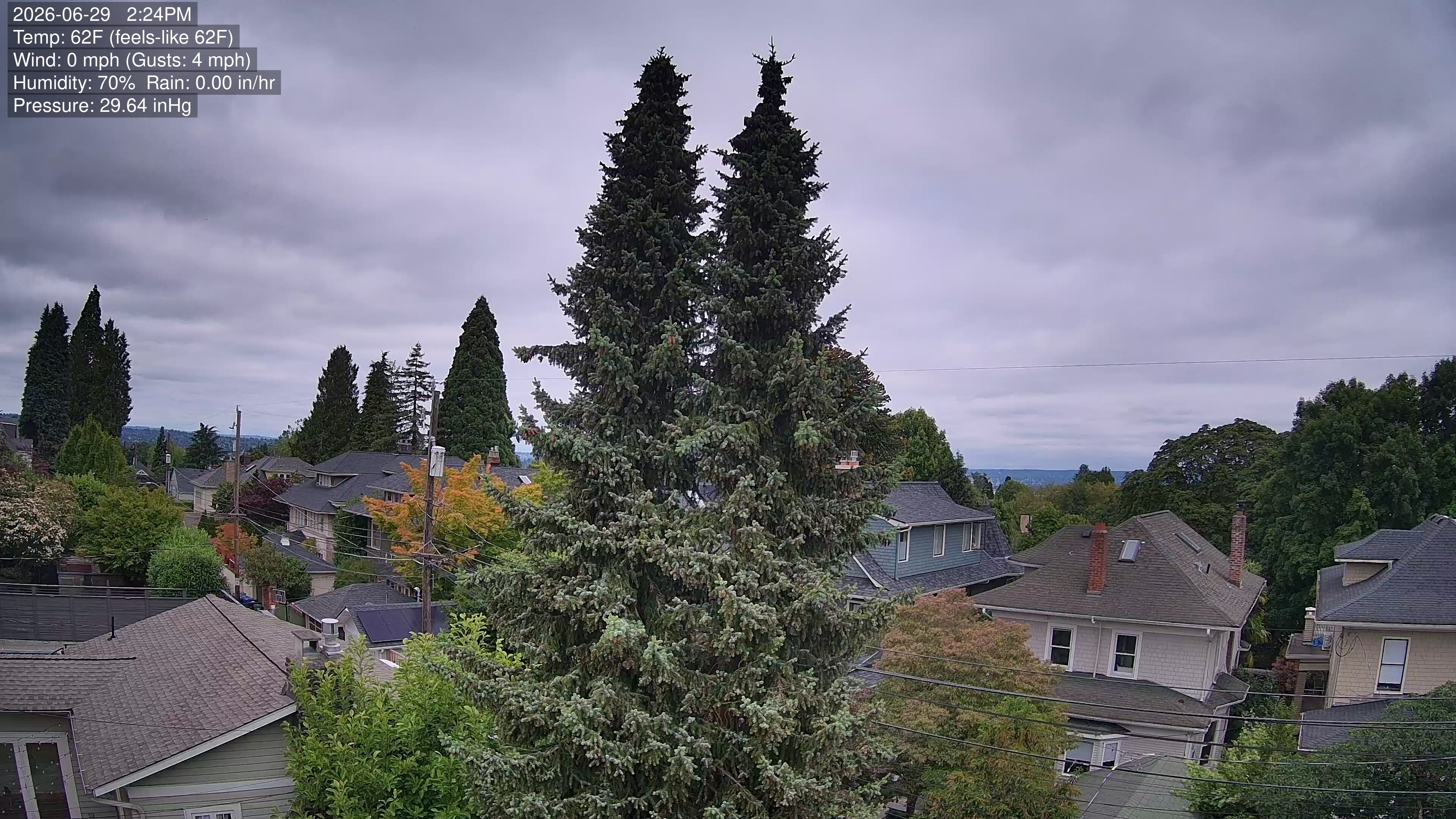 Live camera